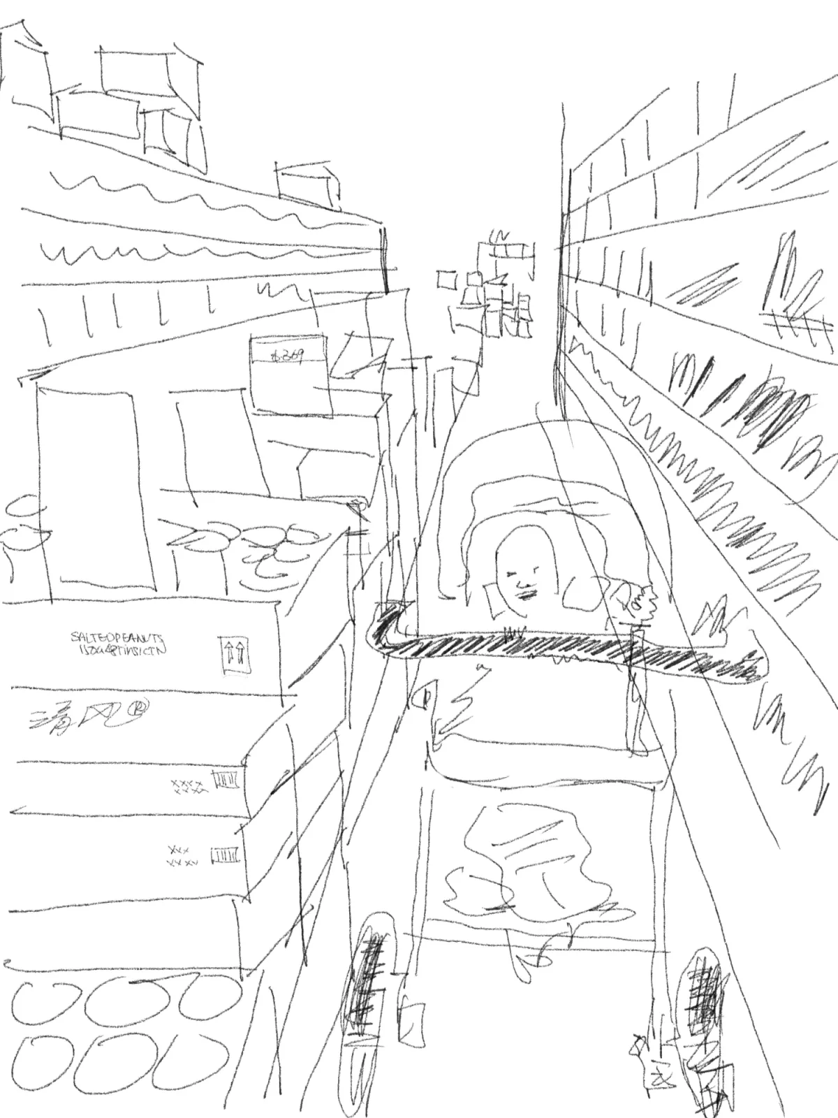 The In-Between Space: An auto-ethnographic and architectural investigation into a Chinese grocery store